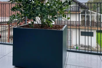 Moderno kovinsko cvetlično korito za rože v atrancit barvi