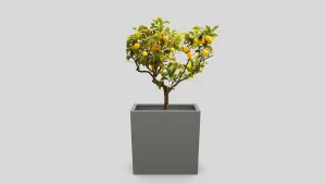 Moderna metalna žardinjera za cvijeće u RAL9007 boji - dimenzije 60x80x30 cm.